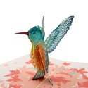 3D přání - Kolibřík
